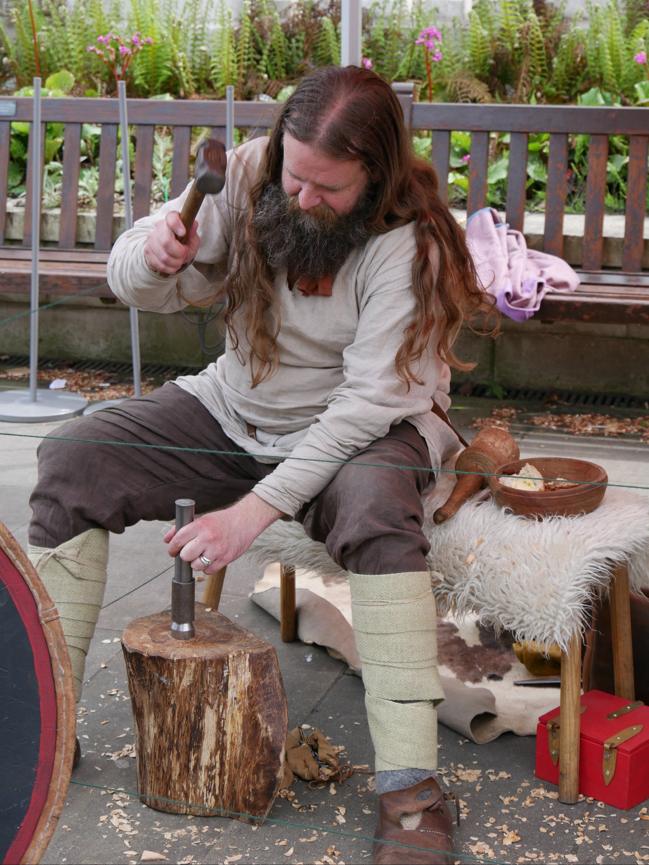 Vikings