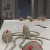 Helen Birnbaum makes viruses