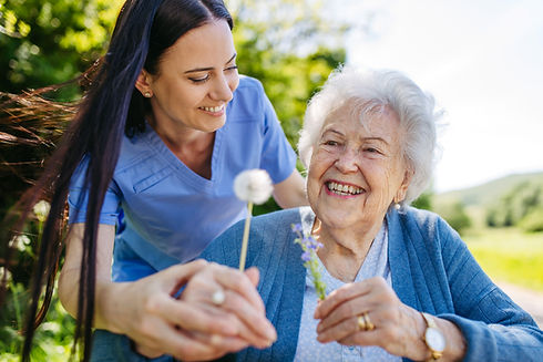 Female caregiver and senior woman in wheelchair holding dandelion, picking wild flowers. N