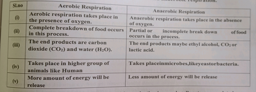 Life Process Respiration Class 10