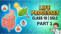 Life Process Class 10 SSLC Nutrition Exam Notes