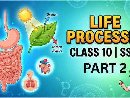 Life Processes Class 10 Notes | Nutrition & Photosynthesis Explained (Part 2)