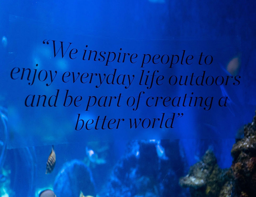 Eco-Essentials Purpose statement created of me as part of the project.