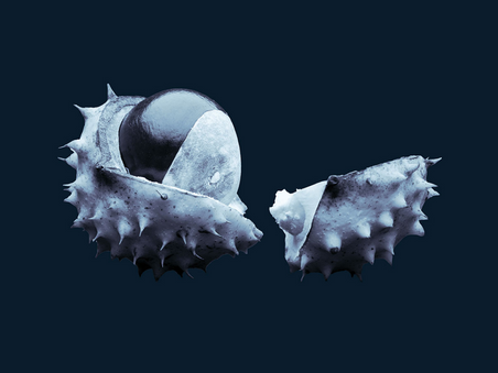 Zes probleemoplossende mindsets voor onzekere tijden