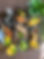 IMG_2693.jpeg