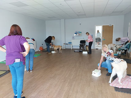Dog training class with instructor teaching