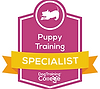 Puppy_Training.webp