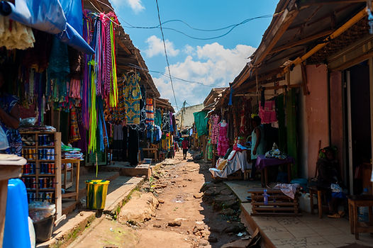 AdobeStock_221462865.jpeg