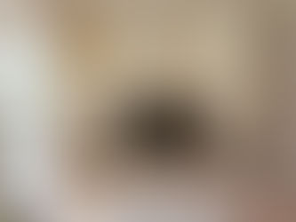 Living modern cu design interior în București, dotat cu un corp TV minimalist, bibliotecă încorporată, lumină naturală și tonuri calde, neutre, realizat de AMMS Studio.