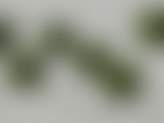 كرات خضراء كبيرة مغطاة بنباتات أرجوانية على أعمدة بيضاء، تعكس جواً هادئاً وأنيقاً