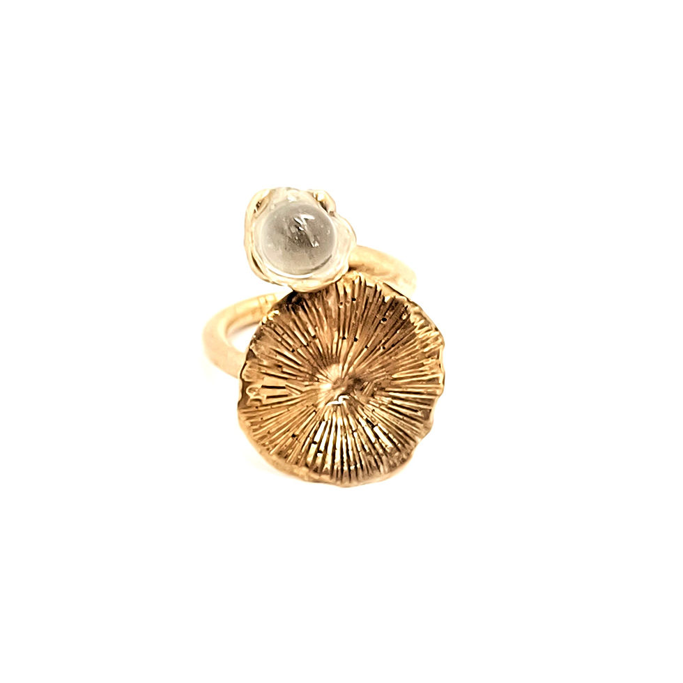 Thumbnail: Cod.02 LT-ring