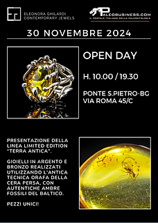 open day 30.11.24 paleobusiness.png