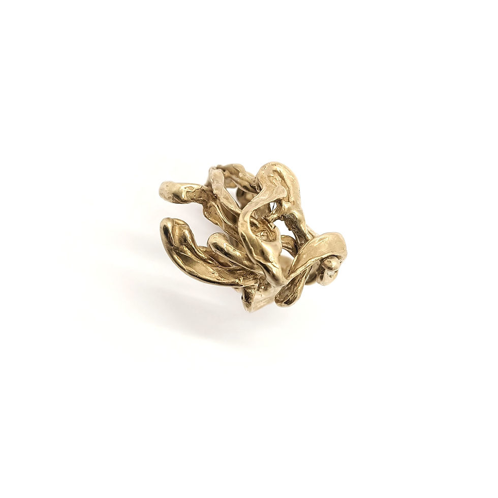 Miniatura: H2O | Cod.079 H2O-ring/anello
