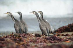 Neuseeland Reisefotografie