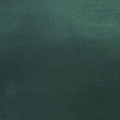 Kopie von IMG_6032_edited_edited_edited_edited_edited_edited.png