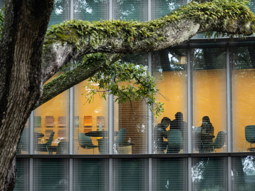 Webdesign für Universtät in New Orleans