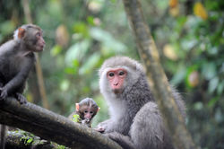 Taiwan Reisefotografie