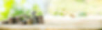 AdobeStock_292167336.jpg