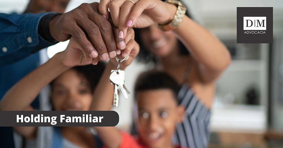 EVITE RISCOS E PREJUÍZOS: AS DESVANTAGENS DE NÃO IMPLEMENTAR UM SISTEMA DE HOLDING FAMILIAR