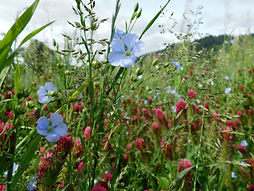 DSCN0589.JPG