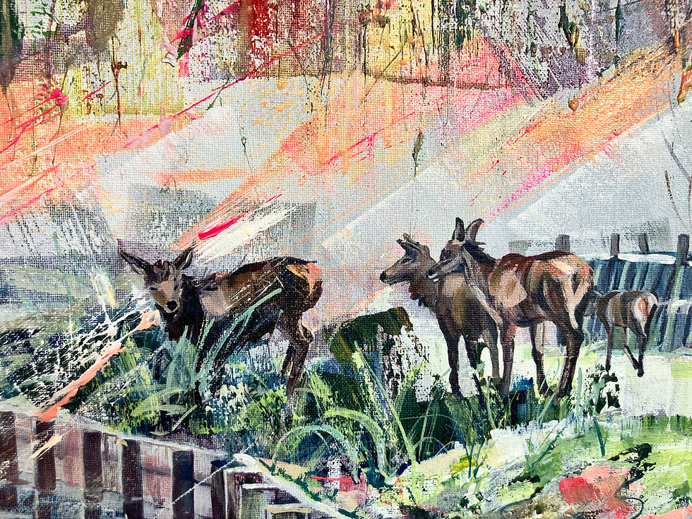 Thumbnail: Deer by stream