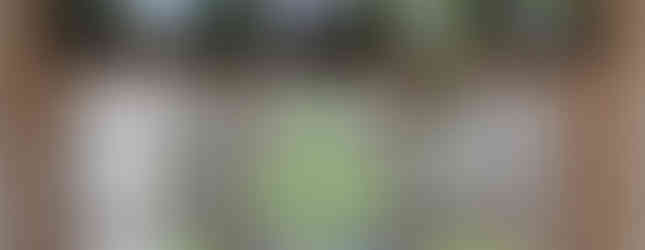 A window is adorned with ivy, red berries, and a lantern. Outside, a grassy area and parked cars are visible under a cloudy sky.