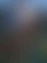 Our Golden Retriever explorers, Arthur and Walter, smile as they pose on frosted grass at Traquair House. Behind them is the Peebles Silver Band.