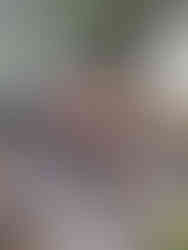 Chestnuts roasting in a pan over an outdoor grill. Smoke rises, surrounded by a garden setting with greenery in the background.