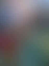 Our Golden Retriever explorer, Walter, is dressed in a Santa jacket and smiles as he poses on the grass at Traquair House. Behind his is the Peebles Silver Band.