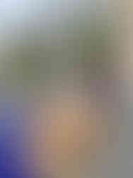 Our Golden Retriever explorers, Walter and Arthur, pose in front of the Loch Ness Centre, a historic building. A vibrant flower barrel is nearby.