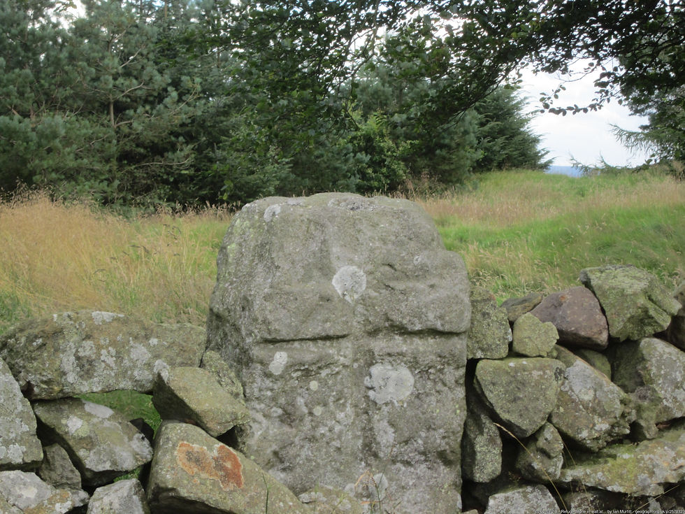 Stone cross embedded in an ancient wall, surrounded by lush greenery and trees. It is one of the boundary sanctuary stones for Torphichen Preceptory. The scene is calm and natural, evoking a tranquil mood.