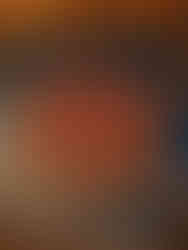 Ornate wooden unicorn carving in a circular frame, surrounded by floral details. Set against a blue and red background with intricate designs. It is from the dining room at Brodie Castle.