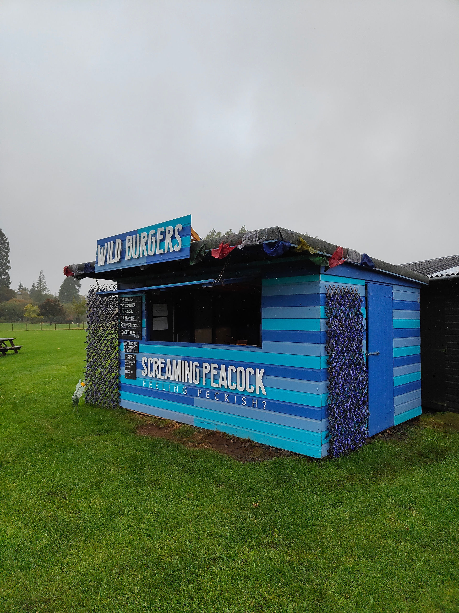 A picture of a blue food stand called the 'Screaming Peacock'.