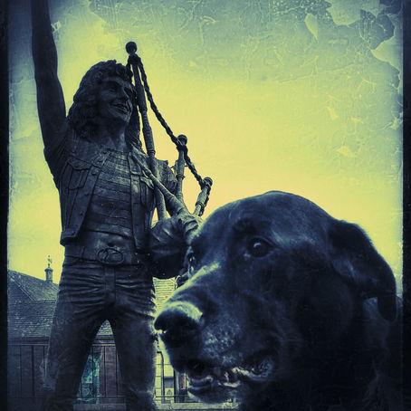 Finn and Bon Scott: the Street Poets of Rock