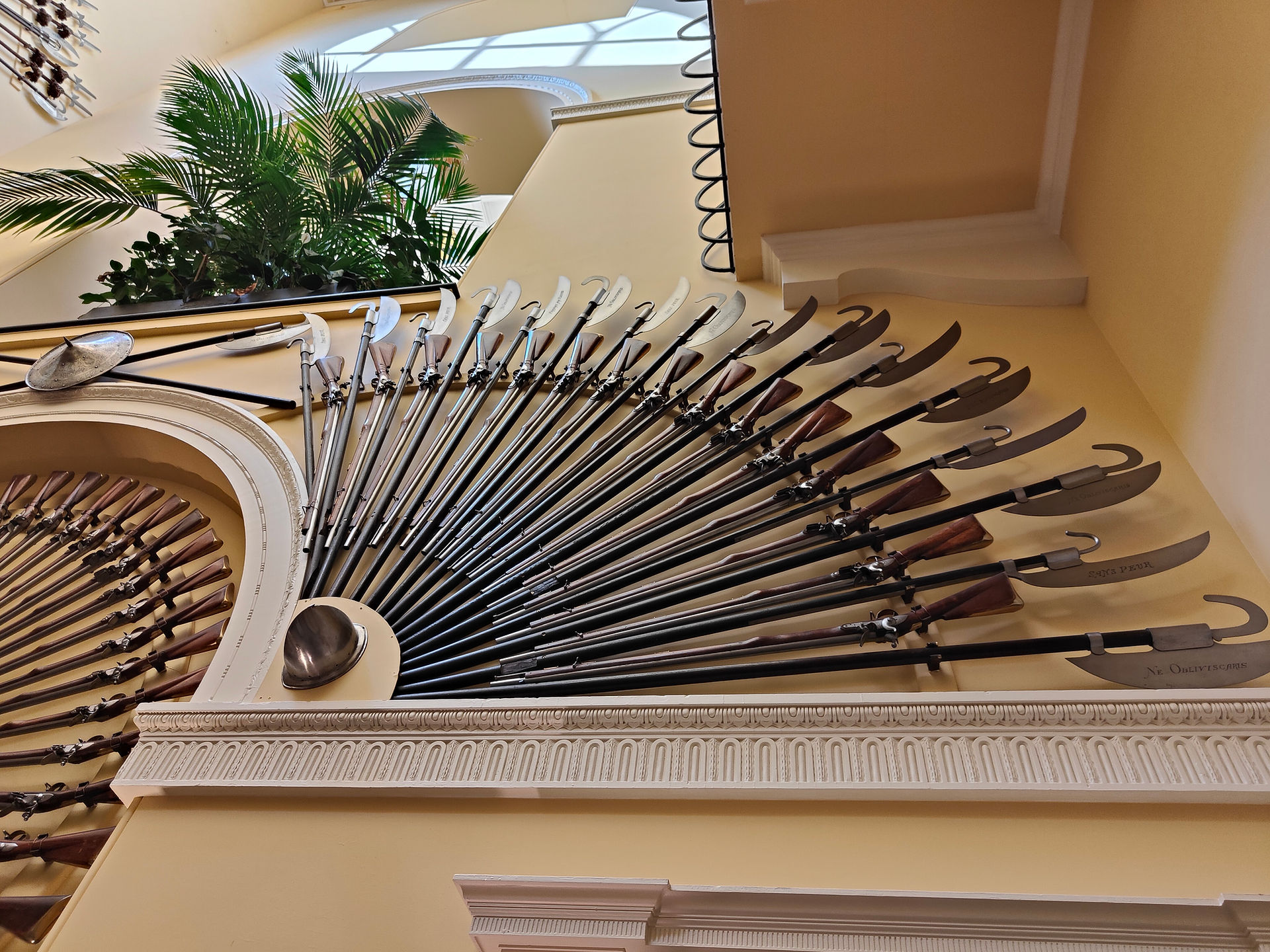 Wall display of halberds and arquebuses forming fan shapes in ornate room. Light yellow walls, plants above; calm ambiance.