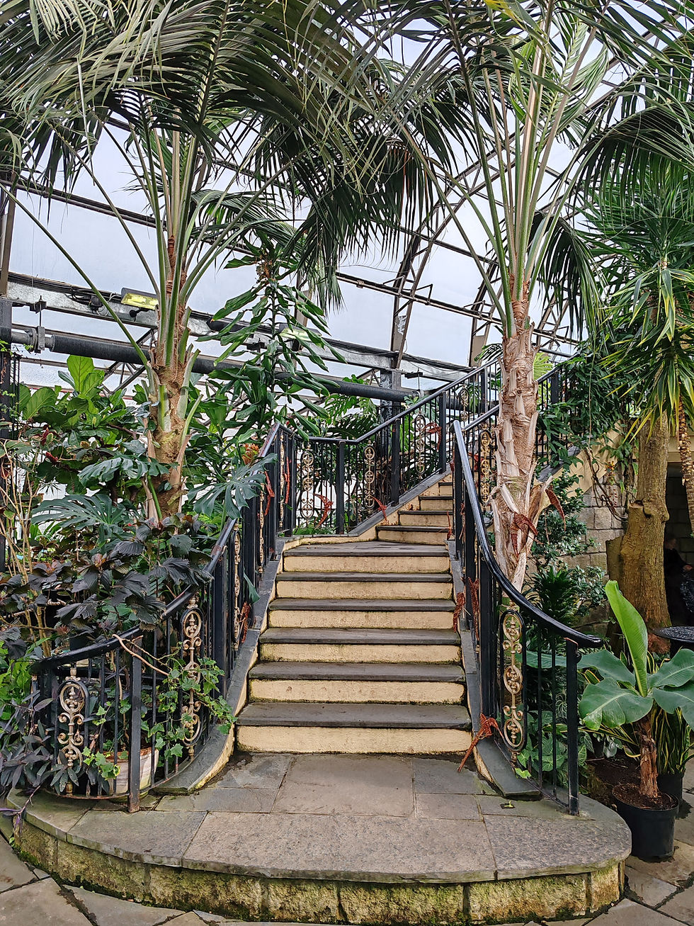 Staircase in a greenhouse surrounded by lush tropical plants and palm trees. Iron railings with ornate details. Bright, natural light filters in.