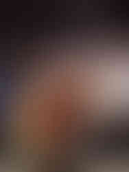 A violin and bow intersect, casting shadows on a gray background. Warm wood tones contrast with the muted setting, creating a serene mood.