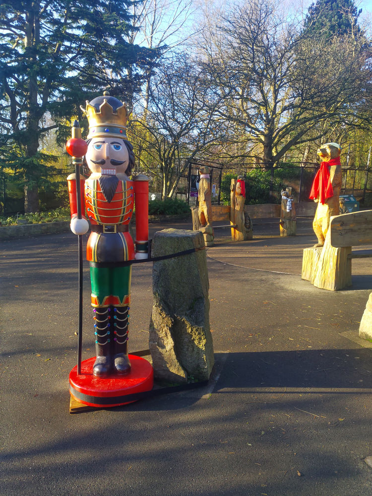 Edinburgh Zoo Shines the Way with 'Christmas Nights'