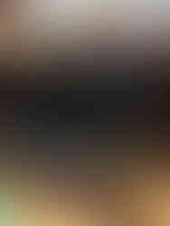 Bottles of Traquair Jacobite Ale with intricate white labels on a wooden shelf. The setting is a warm, rustic shop or brewery display.