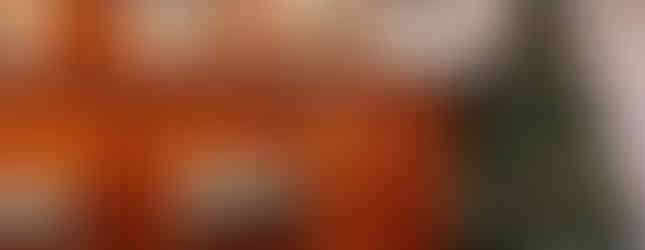 A cosy bar with wooden panels, festive Christmas tree, and stools. Two pints on the counter. Warm lighting and decorations create a holiday mood.