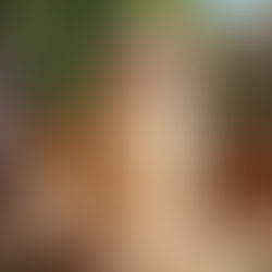 Happy 1st Birthday: Stirling brings the party to Stirling!