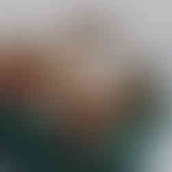 Christmas-themed display with antler headbands on mannequins, wreaths, pinecones, and lights on a green tablecloth. Signs read "Fine Feathers."