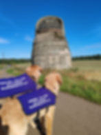 Our Golden Retriever explorers, Walter and Arthur, look at a stone doocot with a horseshoe-shaped roof. They are standing on a rural path under a blue sky.