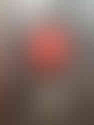 An old wall with a spherical red light and pipes coming out of it. Below is a figurine of a rat.