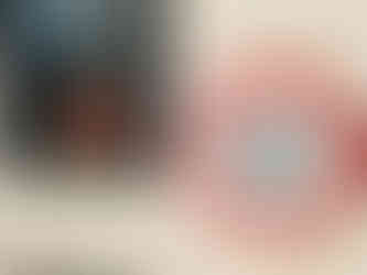 Stuffed corgi in a red sweater sits inside a window. A sign outside reads "the tour starts" with an arrow, against a white wall.