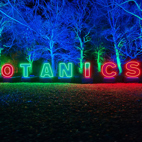 Neon letters spell "BOTANICS" in glowing red and green amidst illuminated trees at night, creating a vibrant and festive atmosphere.