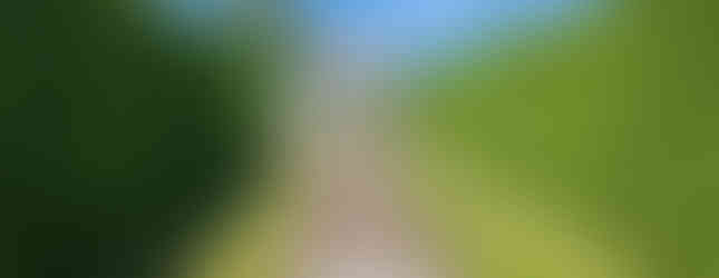 Pathway leads to a white gazebo, flanked by tall green hedges under a bright blue sky. Peaceful, sunny garden scene.