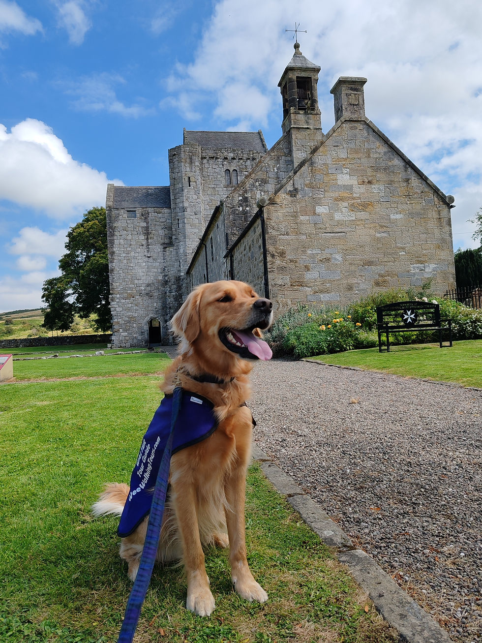 Our Golden Retriever explorer, Walter, sits on grass near a stone building with towers- Torphichen Preceptory. Clear blue sky, green lawn, and flowers enhance the scene.
