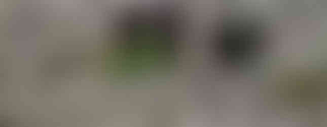 Stone ruin with an arch and window, overgrown with pink wildflowers. Moss covers parts of the weathered stones. Overcast sky background.