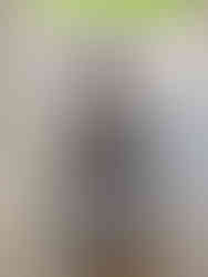 Stone effigy of a medieval figure with crossed hands on a detailed tomb slab. Weathered grey stone with grassy area in the background.